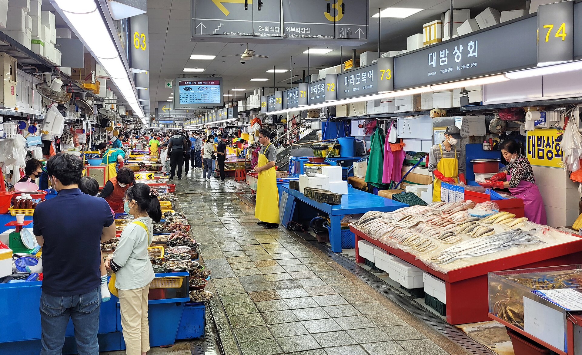 Busan Jagalchi fish market