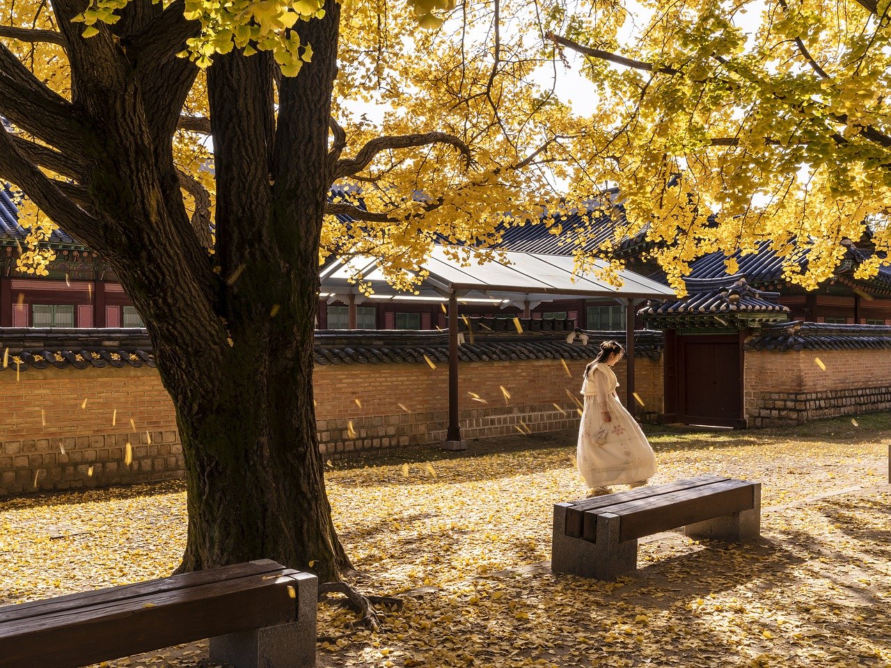 Korean palace autumn